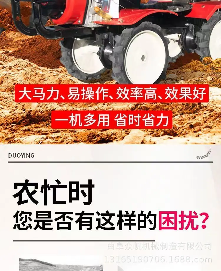 .2.jpg