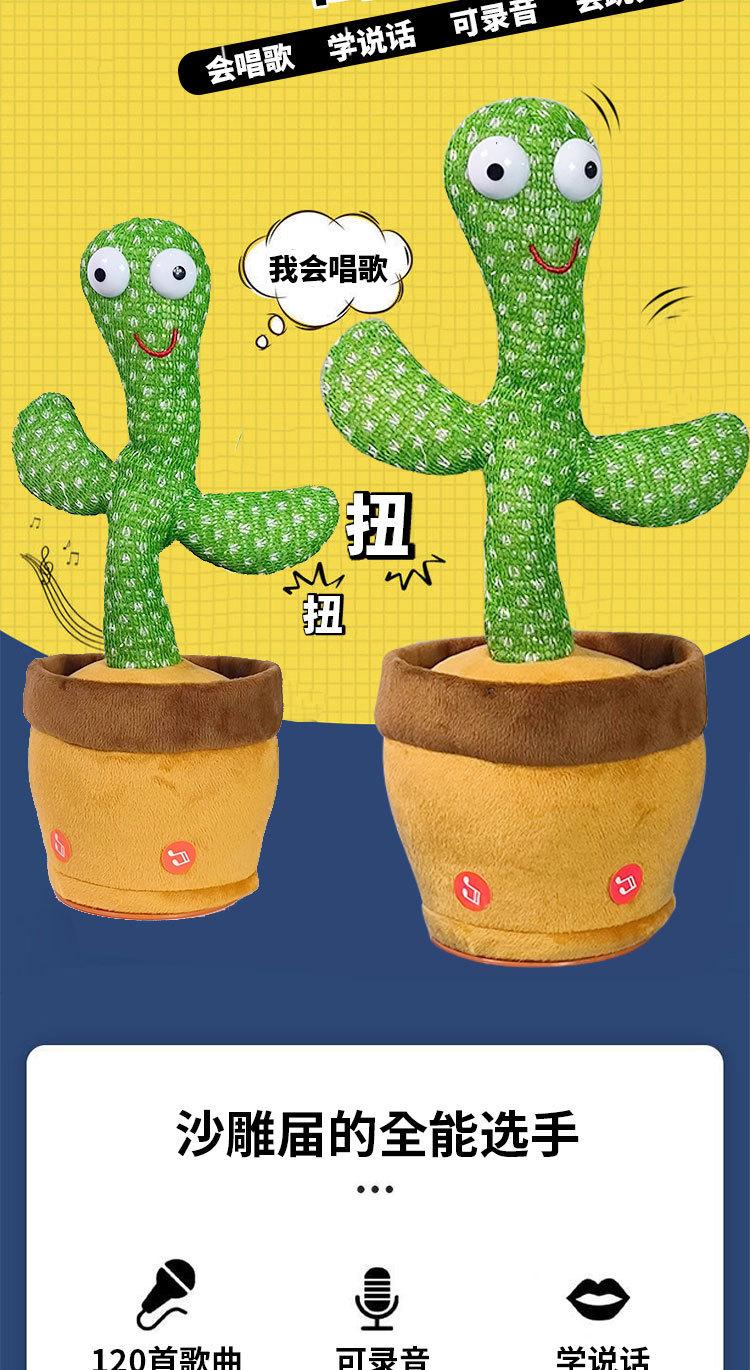 仙人掌详情图_02