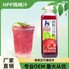 HPP esterilización a ultra alta presión hielo Jugo de mirto helado bebida helada 1 kg té de frutas té de leche puesto dedicado bebidas caseras