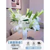 Flores Que Florescem por Muito Tempo e São Fáceis de Cultivar, Lírios, Sino dos Ventos, Flores de Corte Frescas, Plantas Hidropônicas de Cabelo Reto de Yunnan, Rosas, Arranjos de Flores de Interior