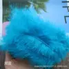 28 Colores Accesorios para joyería diy Paquete pequeño Pluma Cola puntiaguda Pluma de plumón Bola de ondas Material de plumas decorativas