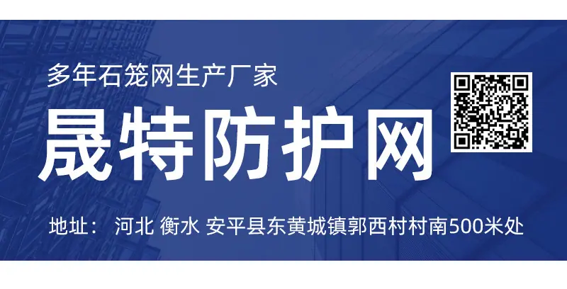 雷诺_13.jpg