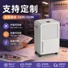 Desumidificador Compressor Pequeno de 8L, Desumidificador Doméstico de Alta Eficiência, Desumidificador Secador de Íons Negativos para Interior