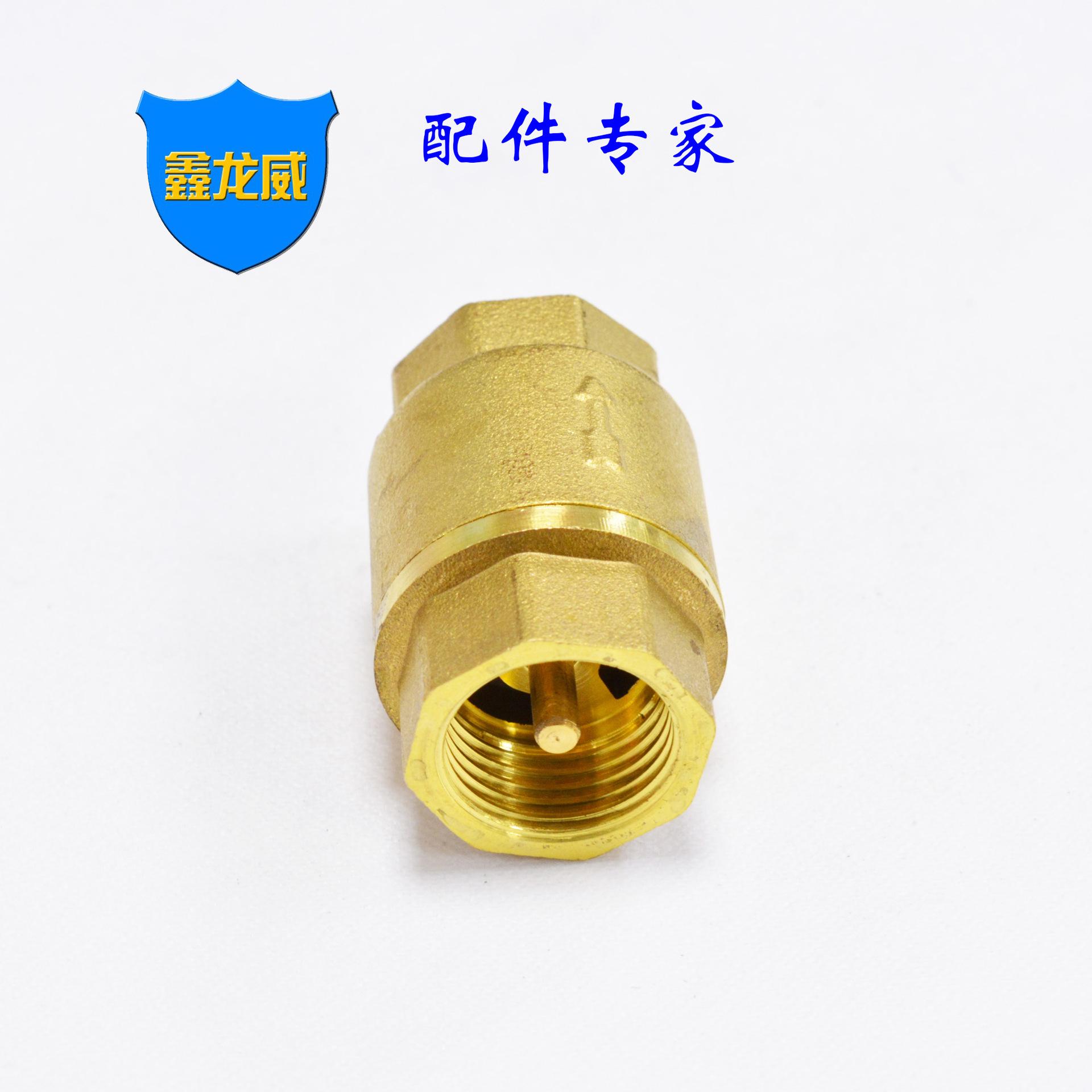 4分立式止回阀普通.jpg