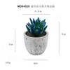 En existencia Simulación de dedos de bergamota azul carnosos Planta en maceta Adornos de escritorio Mini planta verde Bonsai TEMU Planta de simulación