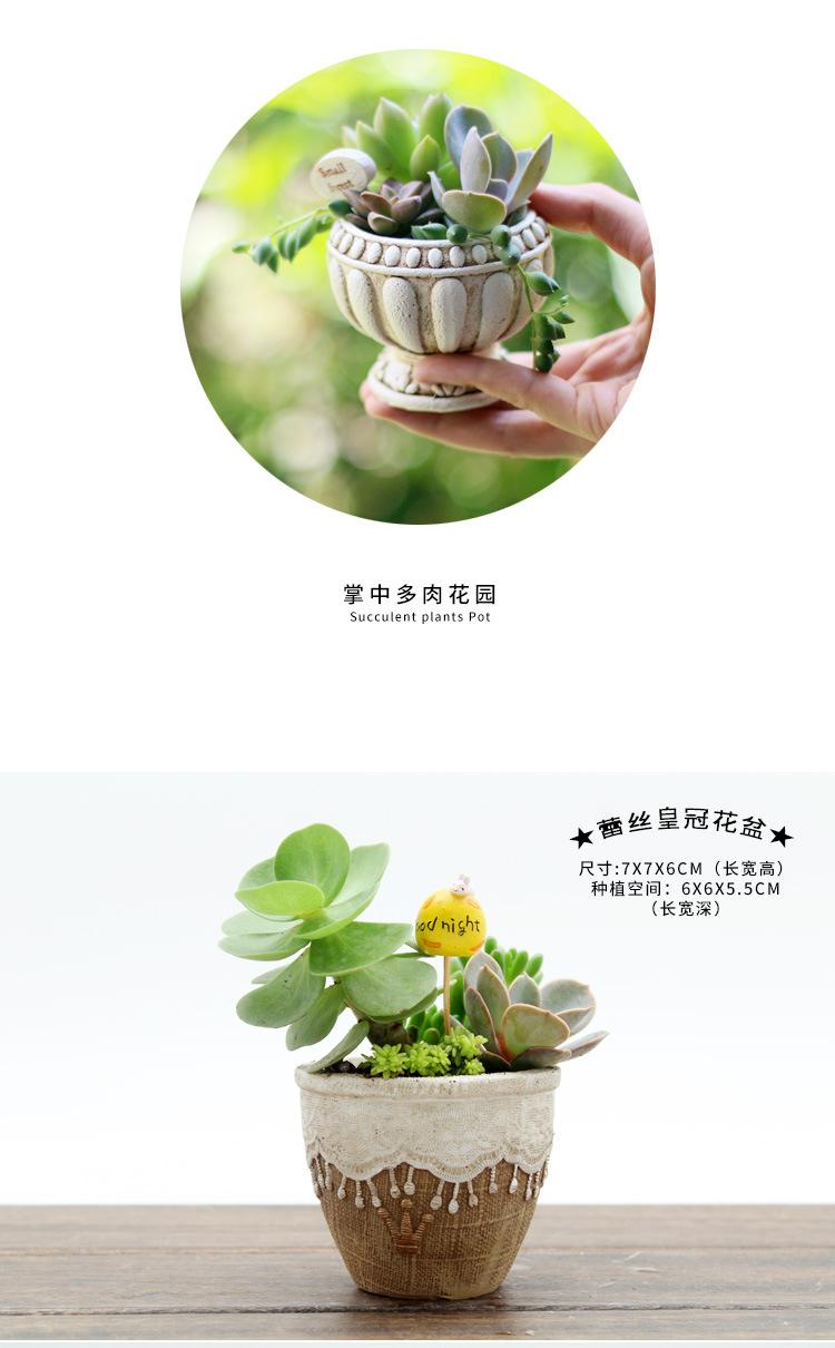 多肉花盆小号_05