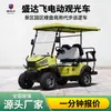 Shengdafei carro elétrico de turismo ponto turístico Carro de passeio de parque veículo off-road assistir trailer de viagem carrinho de golfe
