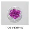 Estilo Ins japonés flor seca para uñas joyería pétalos pequeños Cielo Estrellado 12 rejillas colorida encaje flor decoración de uñas flor