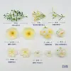 Kit de material para flor artificial de flor de seda tipo J para decoração de casa, kit de material para acessório de cabelo DIY com caixa de flores e flores, produto transfronteiriço mais vendido