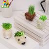 Adornos de Cachorro de Porcelana Blanca DIY Regalo Creativo para Niños Accesorios para el Hogar de Estudiantes Maceta Mini Maceta
