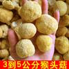 Hongo cabeza de mono Gutian, productos secos, 500 g, hongo cabeza de mono seco, hongo comestible de origen mayorista especializado de Gutian