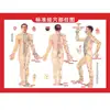 Instrucciones de terapia de moxibustión