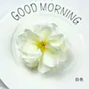 Flores Artificiais Laifei Austin Flores Artificiais DIY Adereços de Cabeça Guirlanda Pacote de Materiais Acessórios de Produção Adereços Florais para Fotografia