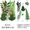 Paquete de 12 hojas verdes combinadas, pegatinas de muestra de hoja real, material de muestra de planta, hojas secas, accesorios de fotografía