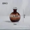 Mini Jarrón de Vidrio de Lujo Accesible Europeo Decoración de Planta Verde Hidropónica Estilo Ins de Escritorio Arreglo Floral Adornos de Alto Valor