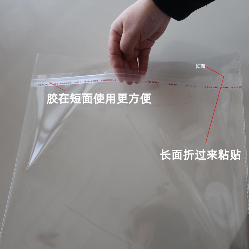 主4.jpg