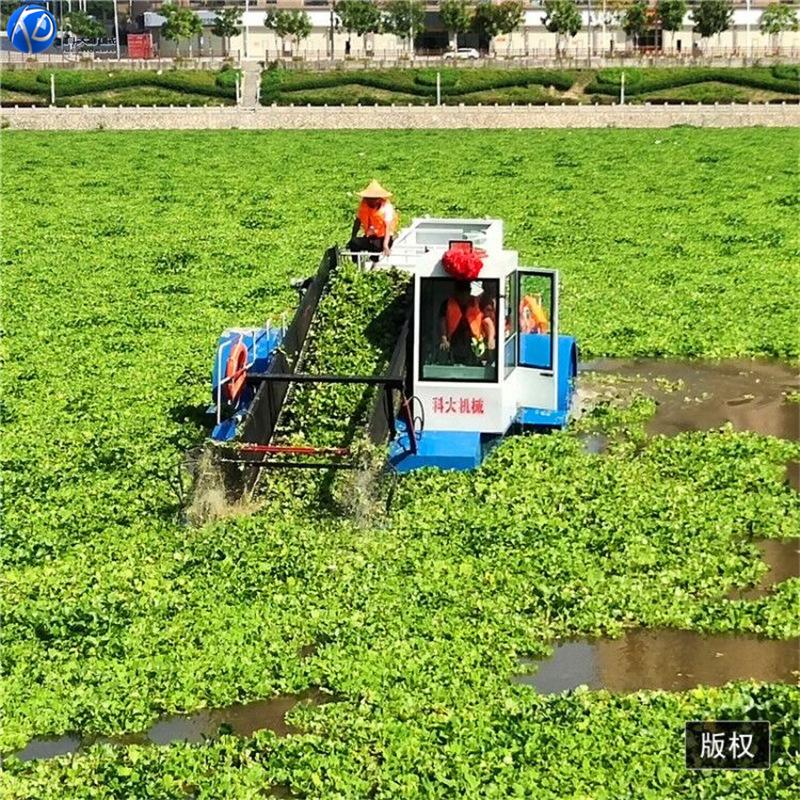 826921CA105154CC2838415DD0899E