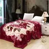 Fábrica de Cobertores Raschel Espessos Cobertor Quente de Inverno Manta de Flanela Lençol de Cama Camada Dupla Antiestático Cobertor Nuvem