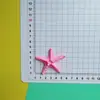 Acessórios de Resina com Concha de Estrela Sapatos com Furo Grampo de Cabelo Acessórios de Cabelo Bolsa Brinquedos Material DIY Fabricante Atacado