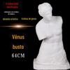Estátua de gesso de meio corpo Vênus de meio corpo estátua de gesso Retrato de cabeça de Vênus retrato de cabeça de gesso H64 esboço de material didático por atacado