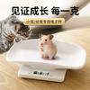 Báscula de Precisión para el Hogar para Mascotas Pequeñas Báscula de Peso Báscula Electrónica Báscula de Carga Medidor de Peso Inteligente Báscula de Plataforma