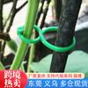 Jardinería Transfronteriza Hebilla en Forma de 8 Vid Trepadora Tomate Hebilla Correa de Amarre Hebilla en Forma de 8 Hebilla Fija para Plantas Círculo de Calabaza Combinación de Jardín