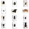 Muestras de Insectos Reales Jingling Crafts: Escarabajo, Escorpión, Tortuga Dorada, Araña - Regalos de Educación en Ciencias Biológicas, Adornos de Resina