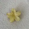 Vacaciones de Verano Viento Amarillo Blanco Flor de Huevo Pinza de Agarre Sentido Avanzado Dulce Cabello Sizzy Pinza Tiburón 2025 Accesorios para el Cabello Nuevo Estilo