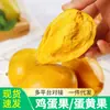 Fruta de Yema de Huevo Fresca, Especialidad de Fruta Tropical de Temporada, Fruta de Huevo, Fruta Cabeza de León, Durazno, Oliva, Adecuado para Mujeres Embarazadas, Envío Directo Disponible