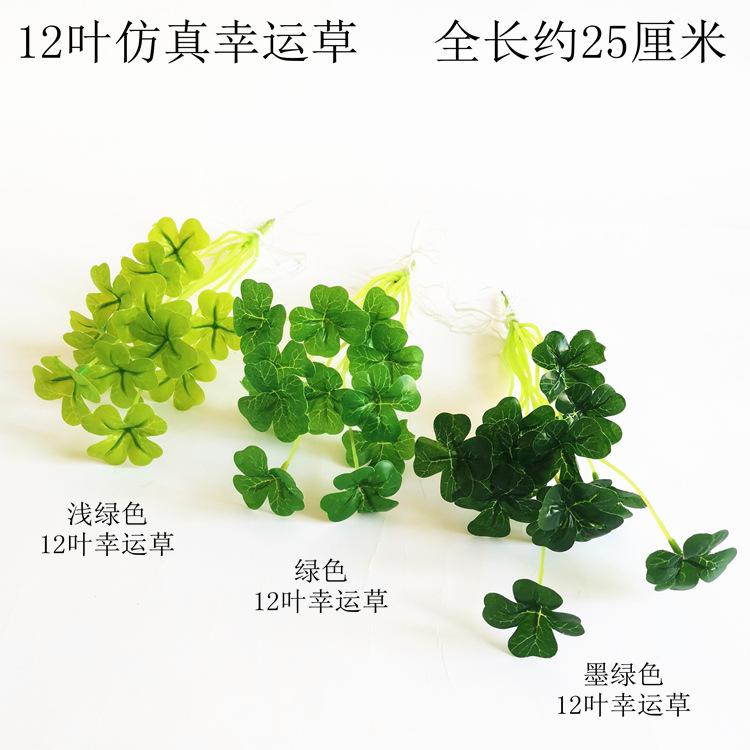 幸运草合影3.jpg