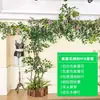 Folhas, galhos, videiras, flores artificiais, trepadeiras, canos, pilares, plantas trepadeiras, plantas verdes, plantas de parede, cobrindo imperfeições, decorações
