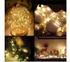 Cadena de Luces de Alambre de Cobre LED Caja de Batería de Botón Caja de Regalo Decoración de Lata Cadena de Luces Flor Pastel Decoración Navideña Linterna