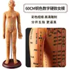 Folha de Cobre para Acupuntura Uso Doméstico Medicina Tradicional Chinesa Silicone Modelo de Diagrama de Meridianos do Corpo Humano com Pontos de Acupuntura