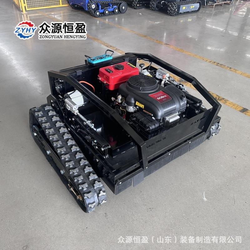 Q黑狮1000头图 (17).jpg