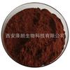 Polvo de esporas de Ganoderma lucidum de pared rota, triterpenoide de Ganoderma lucidum, aceite de esporas de Ganoderma lucidum soluble en agua, extracto de péptido de pequeño peso molecular de Ganoderma lucidum, materia prima en polvo.