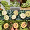 [Selección Premium] Kiwi Tricolor Xixia de Henan - Kiwis Frescos, de Temporada y de Tamaño Mediano a Grande, Disponibles para Envío Directo