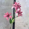 Flores Artificiais Vintage Lírios Pequenos Impressos em 3D em Azul e Roxo para Adereços de Fotografia de Casamento, Decoração de Casa e Vitrines