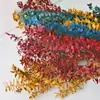 Folhas Ricas Tingidas Únicas Flor Eterna Material Flor Seca Folha Seca Material Decoração de Casamento Atacado em Estoque