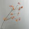 Novo Arranjo de Flores Zen Estilo Chinês com Cipó de Frutas de 13 Galhos e Frutas Artificiais para Decoração