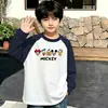 Camiseta de manga larga 100% algodón para niño, colección de primavera y otoño, diseño color block, cuello redondo, estilo nuevo para principios de otoño, mangas largas raglán