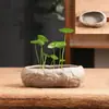 Pedra artificial não porosa cobre capim-dinheiro tamanho especial vaso de cerâmica para flores vaso para bonsai doméstico narciso recipiente para cultura em água liquidação atacado