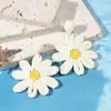 Pendientes de Hierba Rafi Flor Estrella Estrella de Mar Piña de Venta Caliente Transfronterizos Dopamina Tejidos a Mano Pendientes para Viajes de Verano Vacaciones