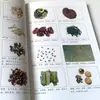 La Receta de Dieta Medicinal del Palacio Ilustrado Es un Plato Genuino de Palacio Que Ha Sido Puesto en la Mesa del Pueblo