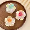 Presilha de Cabelo Colorida de Frangipani Mais Vendida no Exterior Fashion Prendedor de Garra de Flor Garra Lateral Feminina Retrô Garra do Meio Parte de Trás da Cabeça