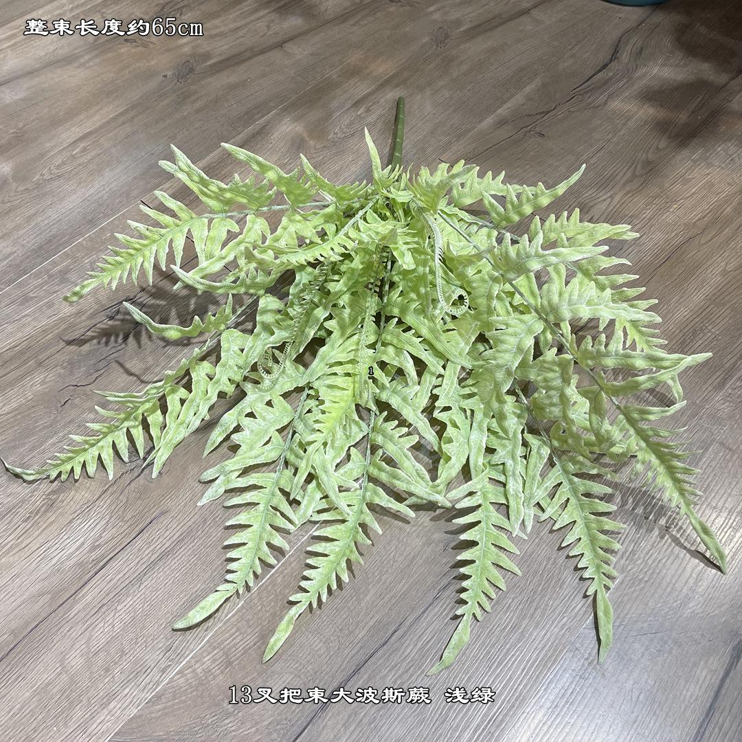 微信图片_20210629104255_副本
