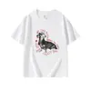 Camiseta Feminina Branca de Algodão Puro com Gola Redonda e Mangas Curtas, Novo Estilo de Verão, Design Americano, Roupa Externa Casual, Blusa Solta Versátil