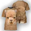Interesante Camiseta Casual de Punto de Manga Corta y Cuello Redondo con Estampado Animal en 3D para Adulto y Niño Suministro de Venta Directa de Fábrica