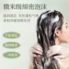 Champú Personalizado de Fábrica Control de Grasa Voluminizador Anti-Rotura de Cabello Extracto de Planta Estilo Herbal TikTok Champú Personalizado Anti-Caspa Control de Grasa