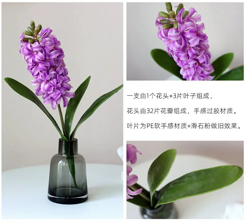 风信子10.jpg