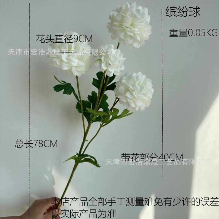 尺寸图